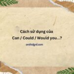 Cách Sử Dụng Của Can / Could / Would You...?