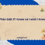 Phân Biệt If I Knew Và I Wish I Knew