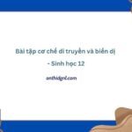 Bài Tập Cơ Chế Di Truyền Và Biến Dị Sinh Học 12