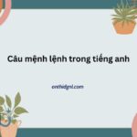 Tìm Hiểu Về Câu Mệnh Lệnh Trong Tiếng Anh