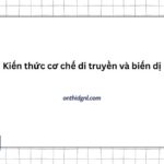 Kiến Thức Cơ Chế Di Truyền Và Biến Dị