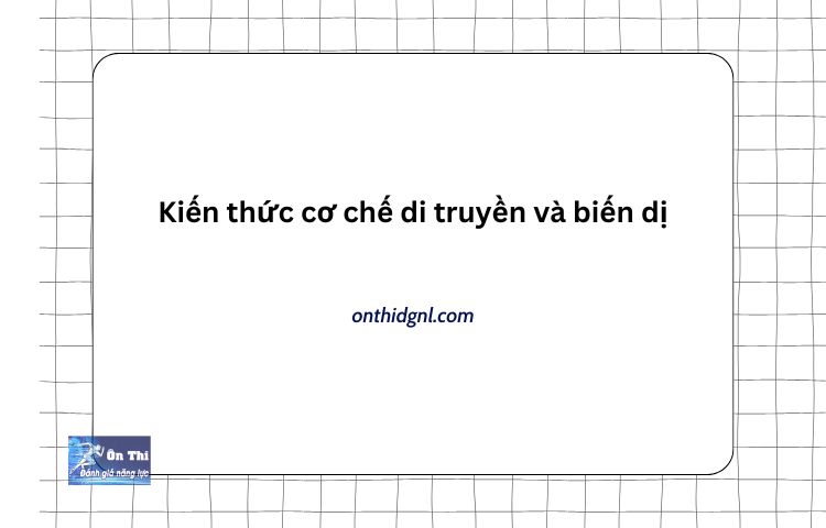 Kiến Thức Cơ Chế Di Truyền Và Biến Dị