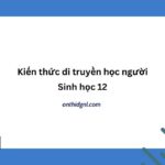 Kiến Thức Di Truyền Học Người Sinh Học 12