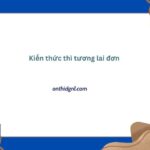 Kiến Thức Thì Tương Lai đơn Tiếng Anh 12