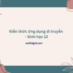 Kiến Thức ứng Dụng Di Truyền Sinh Học 12