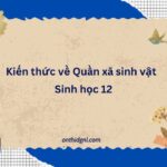 Kiến Thức Về Quần Xã Sinh Vật Sinh Học 12