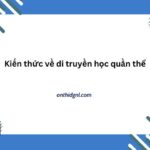 Kiến Thức Về Di Truyền Học Quần Thể Sinh Học 12