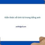 Kiến Thức Về Tính Từ Trong Tiếng Anh