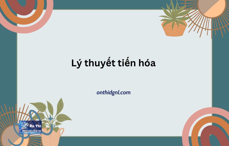 Lý Thuyết Tiến Hóa Sinh Học 12