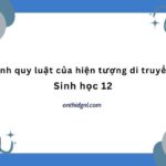 Tính Quy Luật Của Hiện Tượng Di Truyền Sinh Học 12