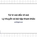 Từ Vi mô đến Vĩ mô - Lý thuyết và bài tập tham khảo