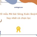 20 mẫu Mở bài Sóng Xuân Quỳnh hay nhất có chọn lọc