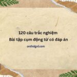 Bài Tập Cụm động Từ 120 Câu Trắc Nghiệm Có đáp án