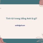 Tính Từ Trong Tiếng Anh Là Gì? Nhận Biết Và Cách Sử Dụng