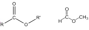 Đặc điểm cấu tạo Ester