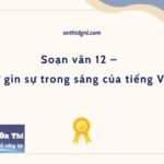 Soạn văn 12 – Giữ gìn sự trong sáng của tiếng Việt