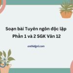 Soạn bài Tuyên ngôn độc lập Phần 1 và 2 SGK Văn 12