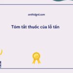 Tóm tắt thuốc của lỗ tấn - Văn 12