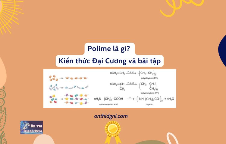 Polime là gì? Kiến thức Đại Cương và bài tập