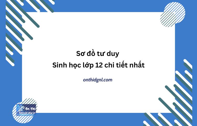 Sơ đồ Tư Duy Sinh Học Lớp 12 Chi Tiết Nhất