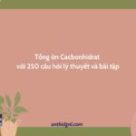 Tổng ôn Cacbonhidrat với 250 câu hỏi lý thuyết và bài tập