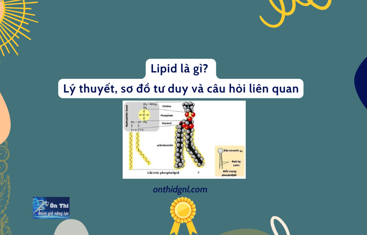 Lipit Lý Thuyết, đặc điểm Và Các Tính Chất