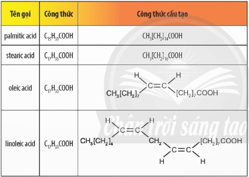 Một số chất béo thường gặp: