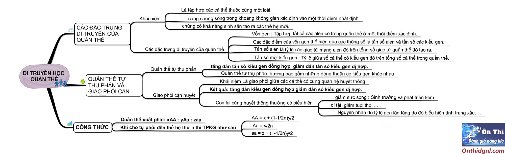 sơ đồ tư duy cấu trúc di truyền học quần thể