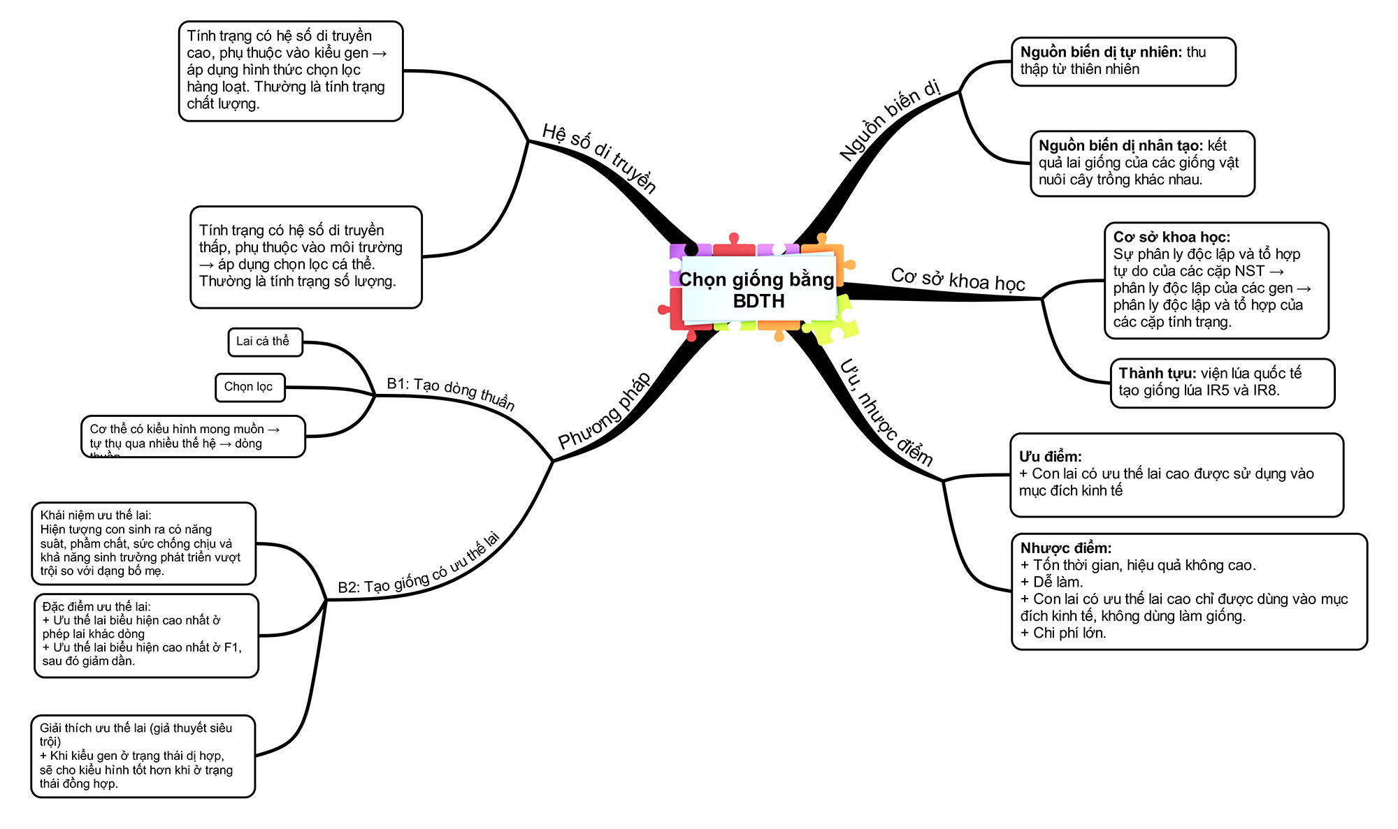 sơ đồ tư duy chọn giống bằng bdth