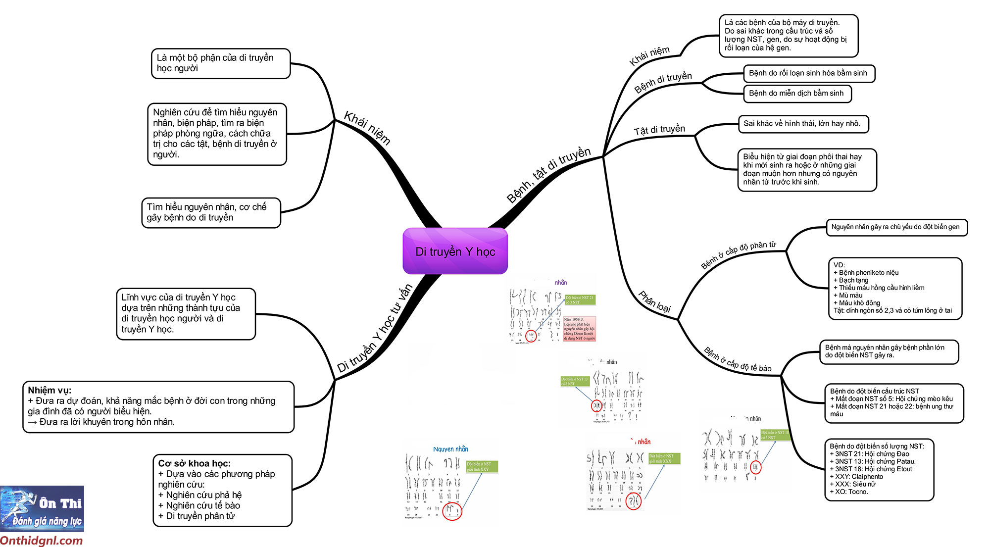 sơ đồ tư duy di truyền y học
