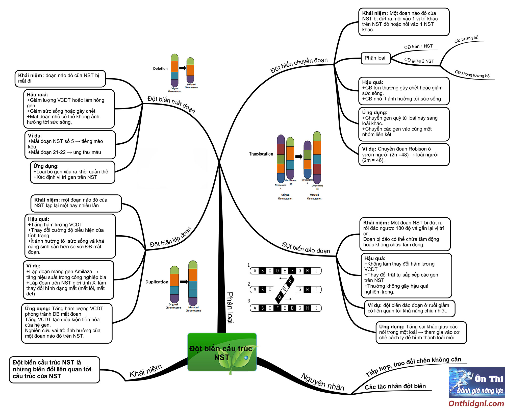 sơ đồ tư duy đột biến cấu trúc nst