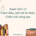 Soạn Văn 11 Cánh diều, kết nối tri thức, Chân trời sáng tạo