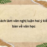 Cách làm văn nghị luận hai ý kiến bàn về văn học