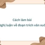 Cách làm phân tích tình huống truyện trong tác phẩm văn học