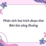 Phân tích hai trích đoạn thơ: Bên kia sông Đuống