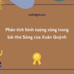 Phân tích hình tượng sóng trong bài thơ Sóng của Xuân Quỳnh