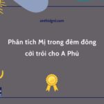 Phân tích Mị trong đêm đông cởi trói cho A Phủ