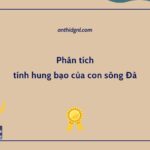 PHÂN TÍCH SÔNG ĐÀ HUNG BẠO