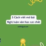 5 Cách viết mở bài Nghị luận văn học cực chất