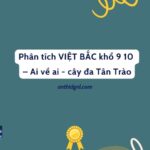 Phân tích VIỆT BẮC khổ 9 10 – Ai về ai - cây đa Tân Trào