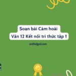 Soạn bài Cảm hoài Văn 12 Kết nối tri thức tập 1