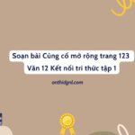 Soạn bài Củng cố mở rộng trang 123 Văn 12 Kết nối tri thức tập 1