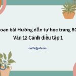 Soạn bài Hướng dẫn tự học trang 80 Văn 12 Cánh diều tập 1