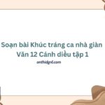 Soạn bài Khúc tráng ca nhà giàn Văn 12 Cánh diều tập 1