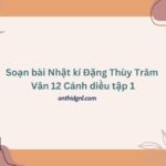 Soạn bài Nhật kí Đặng Thùy Trâm Văn 12 Cánh diều tập 1