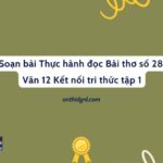 Soạn bài Thực hành đọc Bài thơ số 28 Văn 12 Kết nối tri thức tập 1