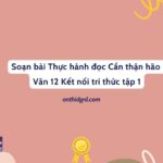 Soạn bài Thực hành đọc Cẩn thận hão Văn 12 Kết nối tri thức tập 1