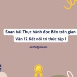 Soạn bài Thực hành đọc Bến trần gian Văn 12 Kết nối tri thức tập 1