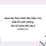 Soạn bài Thực hành đọc hiểu Lưu biệt khi xuất dương Văn 12 Cánh diều tập 1