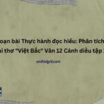 Soạn bài Thực hành đọc hiểu Phân tích bài thơ Việt Bắc Văn 12 Cánh diều tập 1